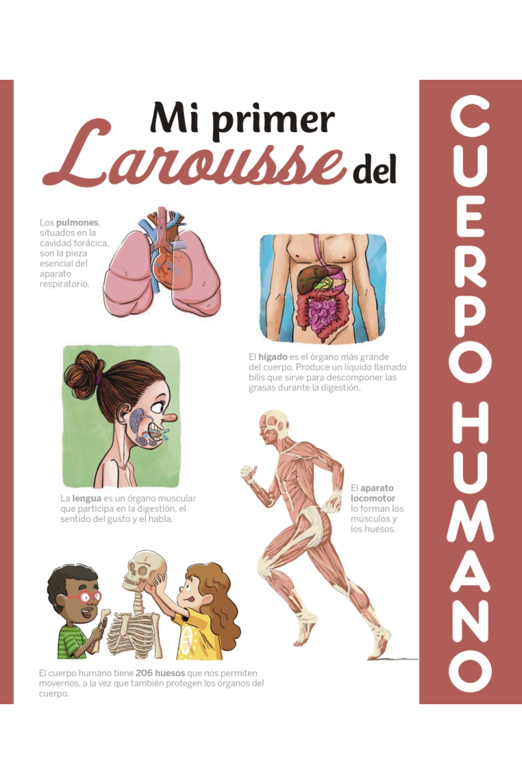 Mi primer Larousse del cuerpo humano