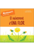 El naixement d'una flor (Montessori)