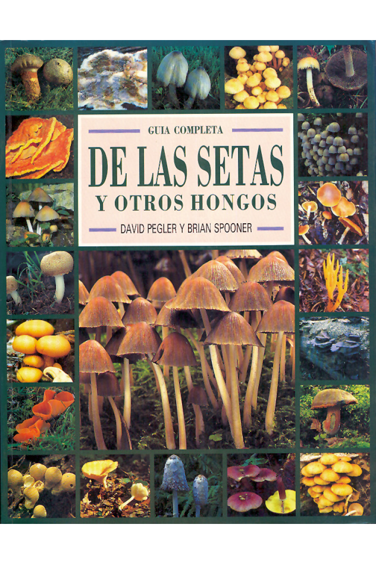 Guía completa de las setas y otros hongos