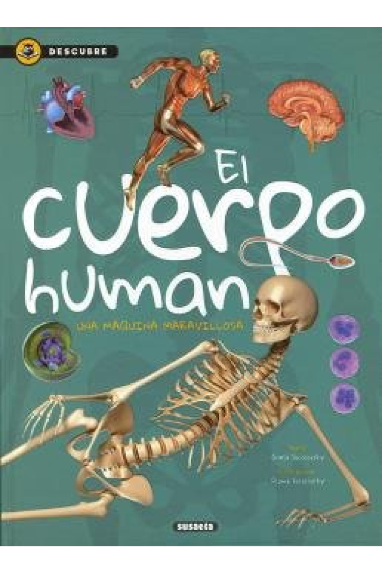 El cuerpo humano