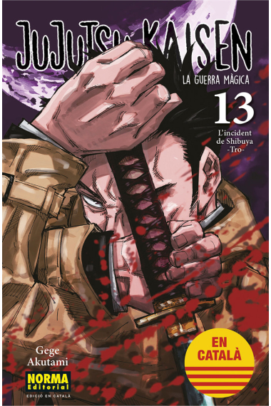 JUJUTSU KAISEN 13