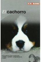 El cachorro