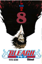 Bleach 8