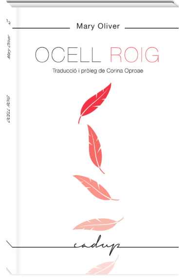 Ocell Roig