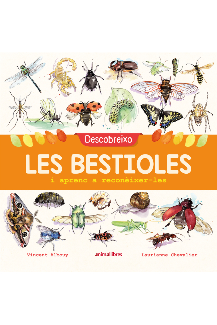 Descobreixo les bestioles i aprenc a reconèixer-les