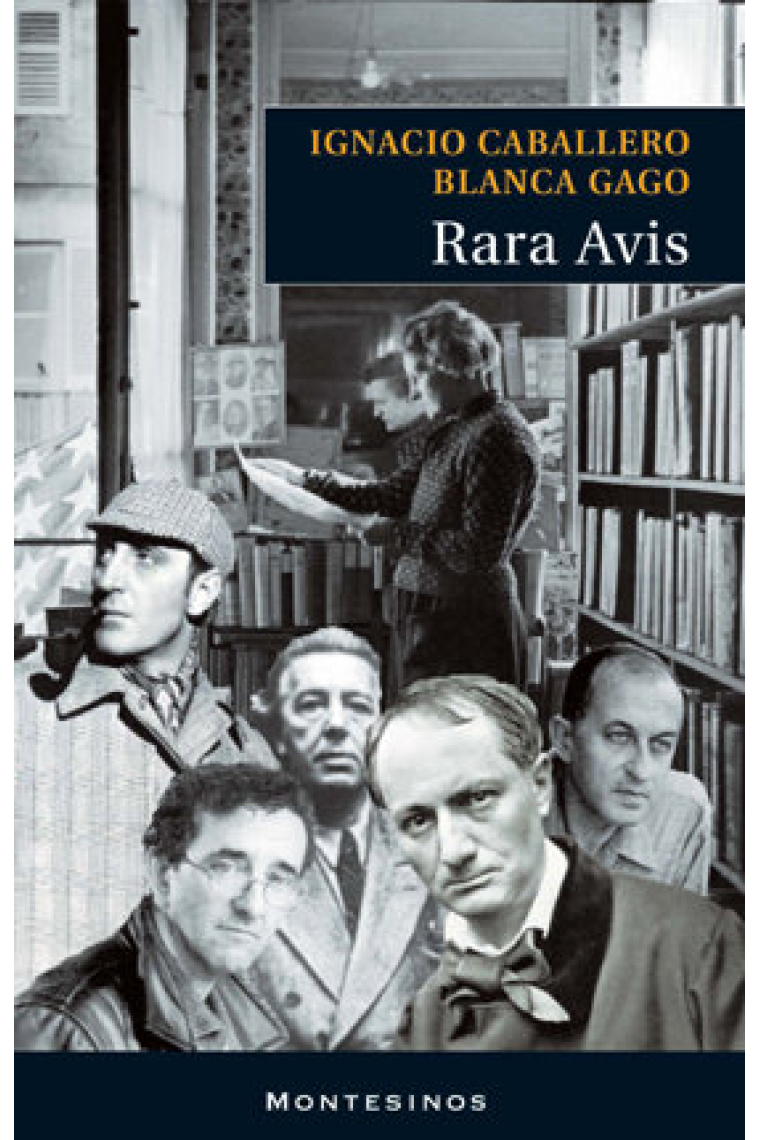 Rara Avis