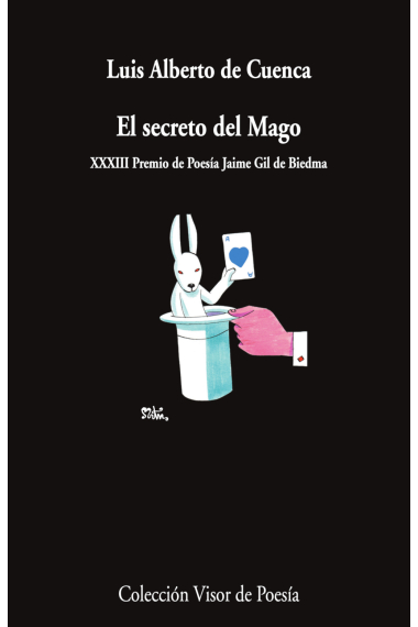 El secreto del mago