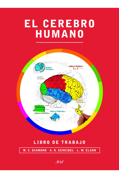 El cerebro humano : Libro de trabajo (Nueva Edición)