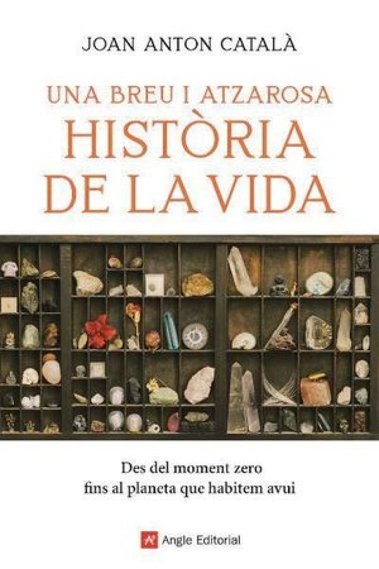 Una breu i atzarosa Història de la vida. Des del moment zero fins al planeta que habitem avui