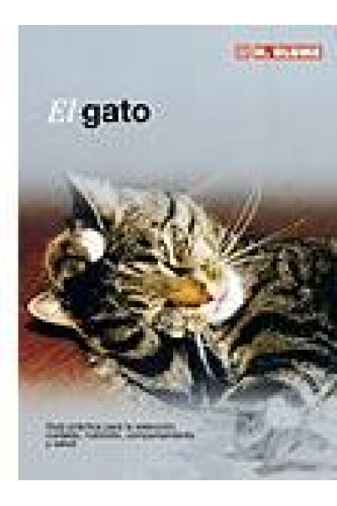 El gato