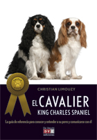 El Cavalier King Charles Spaniel