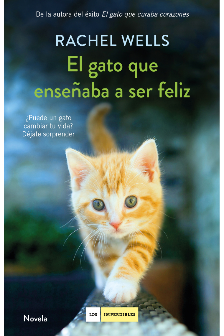 El gato que enseñaba a ser feliz