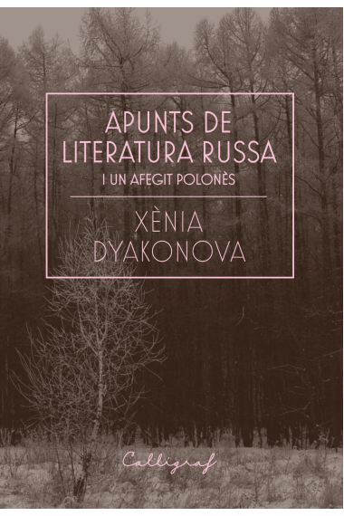 Apunts de literatura russa i un afegit polonès