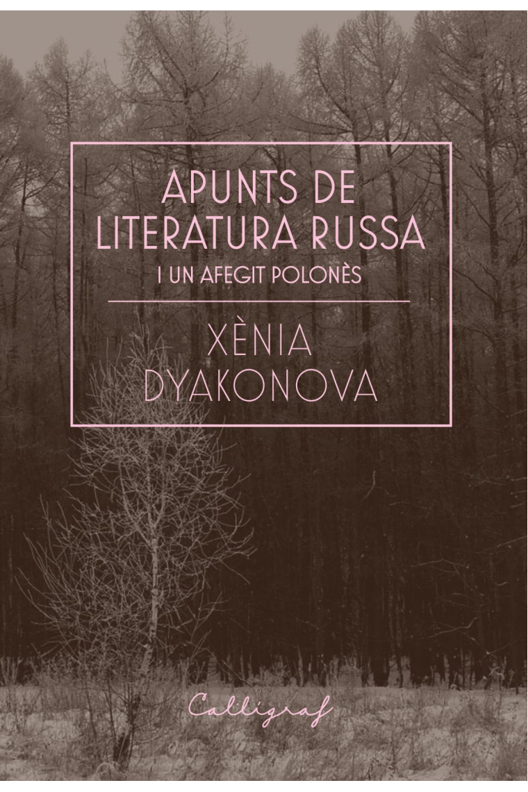 Apunts de literatura russa i un afegit polonès