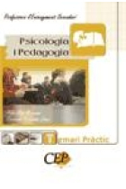 Psicologia i Pedagogia. Temari pràctic.  Professors d'Ensenyament Secundari