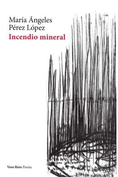 Incendio mineral