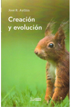 Creación y evolución