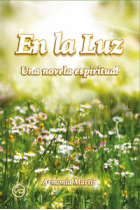 En la luz. Una novela espiritual