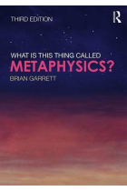 What is this thing called metaphysics?