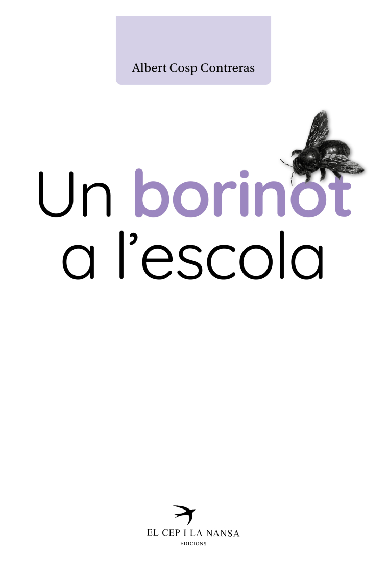 Un borinot a l'escola