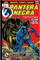 PANTERA NEGRA 01