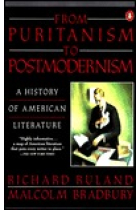 From purianism to postmodernism. A history of American literature