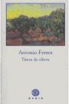 Tierra de olivos