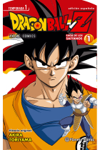 Dragon Ball Z Anime Series Saiyan 1