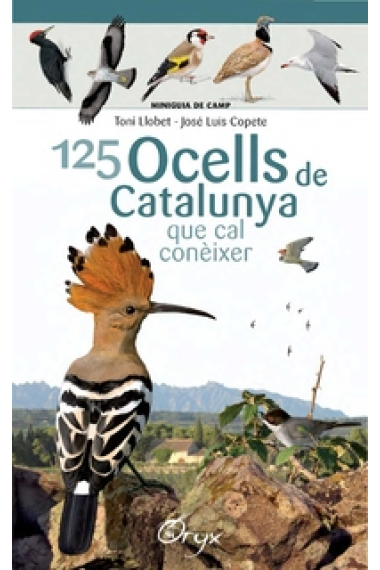 125 ocells de Catalunya que cal conèixer (Miniguia de camp)