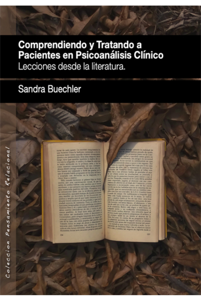 Comprendiendo y tratando a pacientes en psicoanálisis clínicos. Lecciones desde la literatura