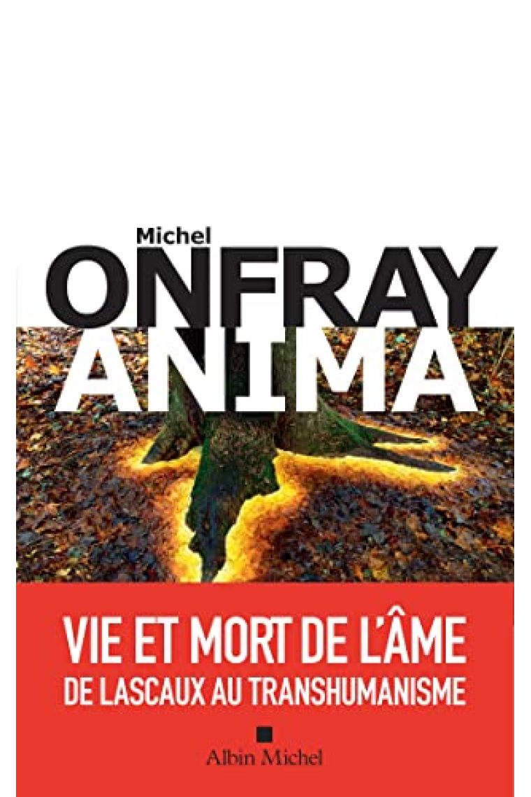 Anima: Vie et mort de l âme de Lascaux au transhumanisme (French Edition)