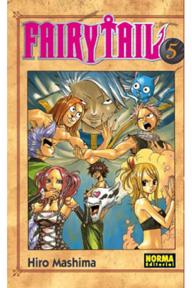 Fairy Tail 5