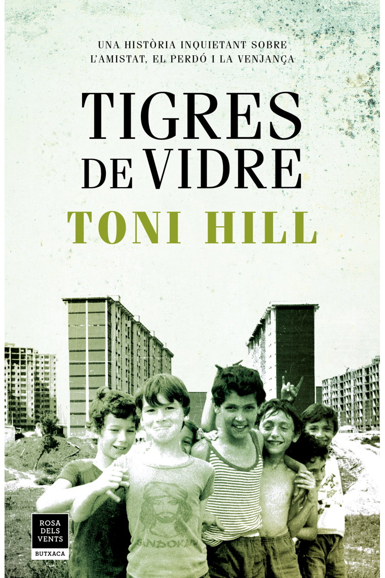 Tigres de vidre