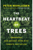 The Heartbeat of Trees: Embracing Our Ancient Bond with Forests and Nature