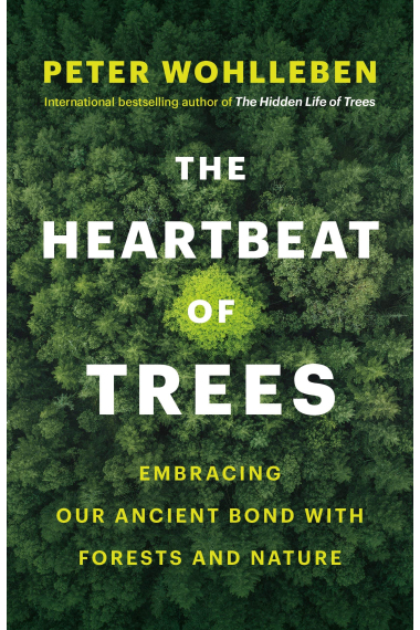 The Heartbeat of Trees: Embracing Our Ancient Bond with Forests and Nature