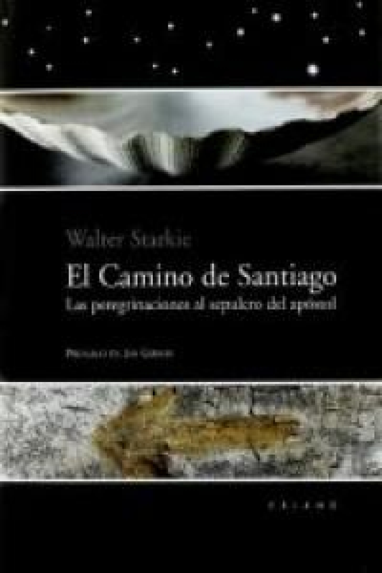 El Camino de Santiago