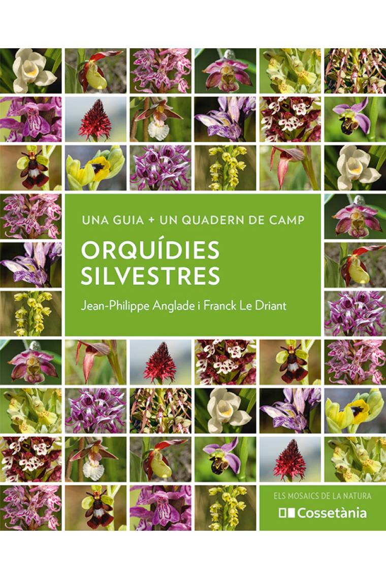 Orquídies silvestres. Una guia + Un quadern de camp
