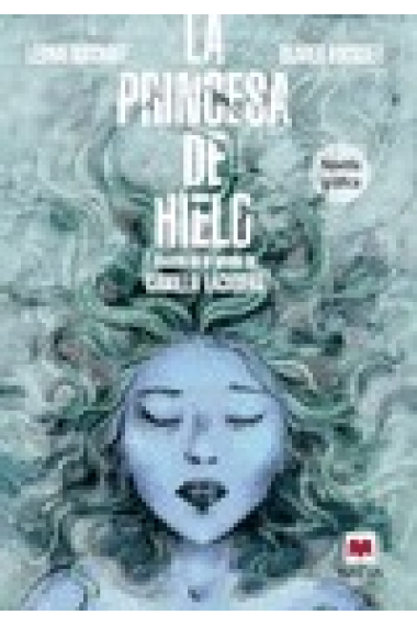 La princesa de hielo (Comic basado en la novela de Camilla Läckberg)