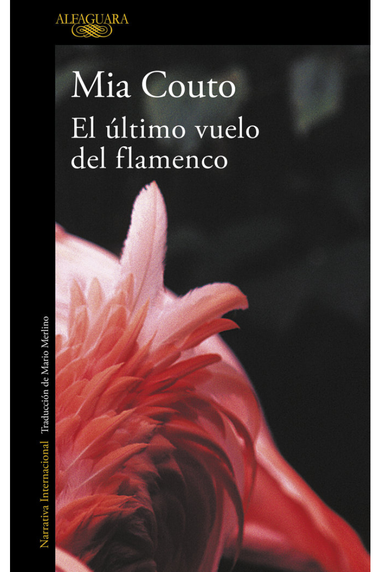 El último vuelo del flamenco