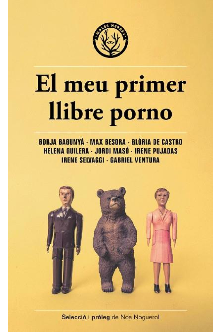 El meu primer llibre porno