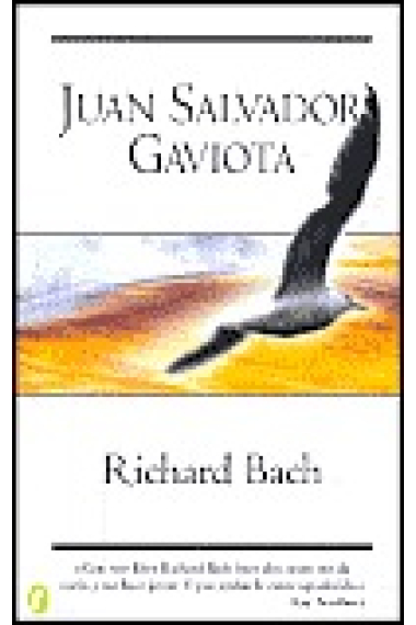 Juan Salvador Gaviota