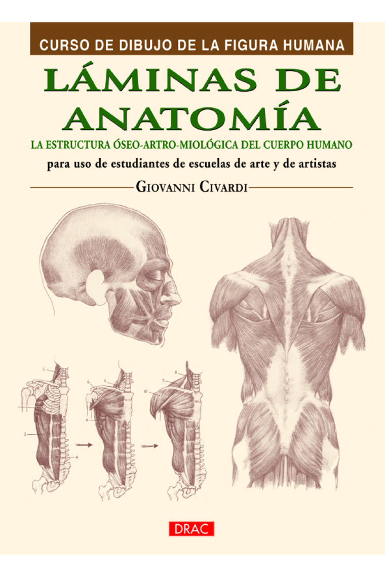 Láminas de anatomía. La estructura óseo-artro-miológica del cuerpo humano para uso de estudiantes de escueltas de arte y artistas