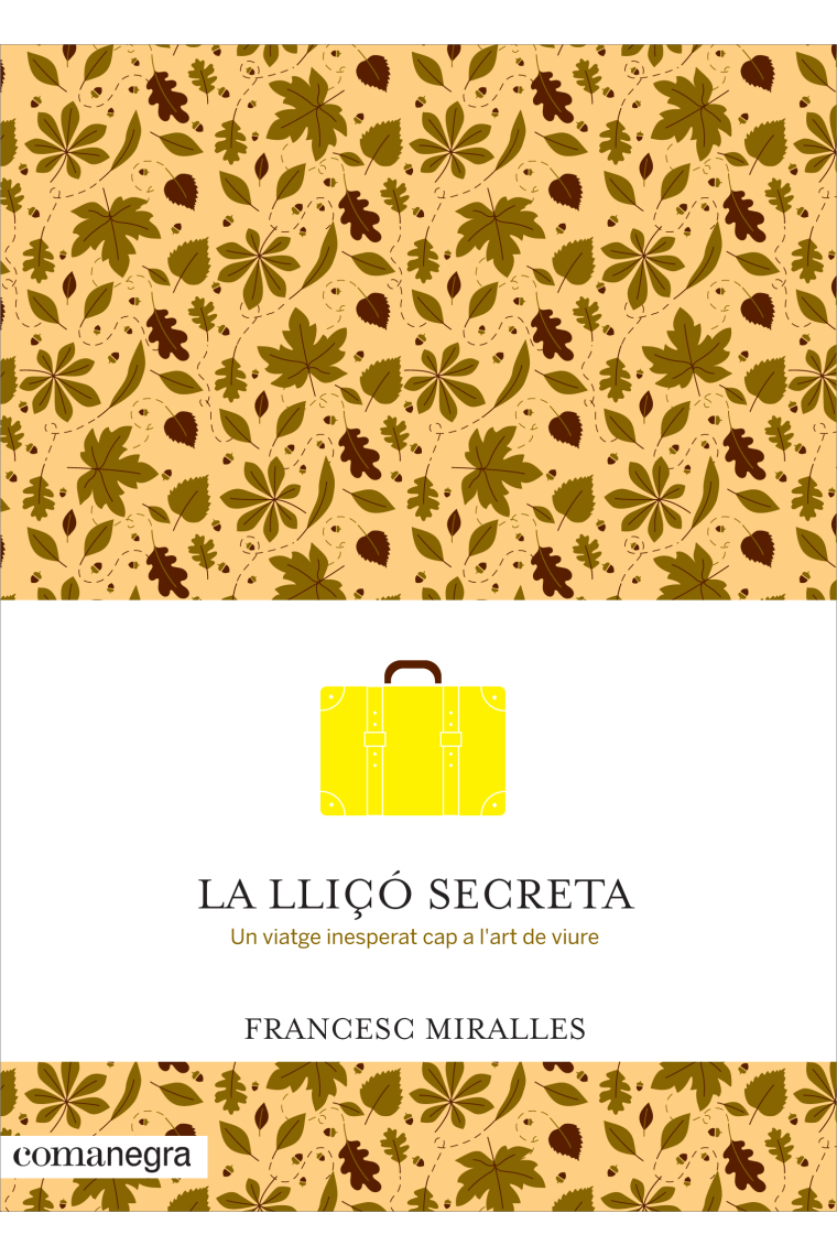 La lliçó secreta. Un viatge inesperat cap a l'art de viure