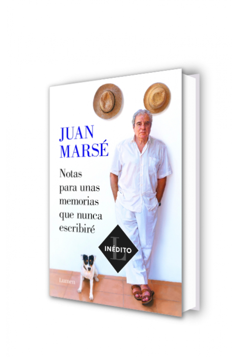 Notas para unas memorias que nunca escribiré