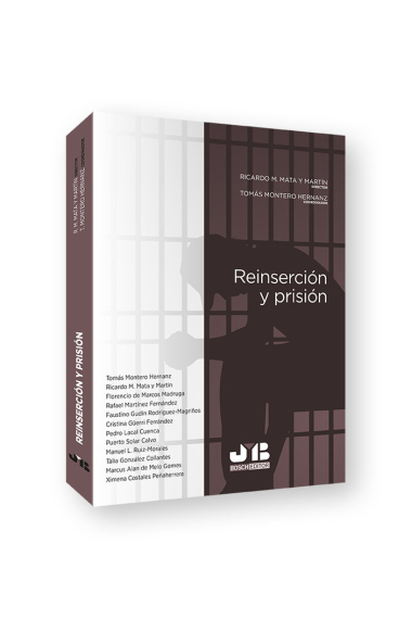 REINSERCION Y PRISION