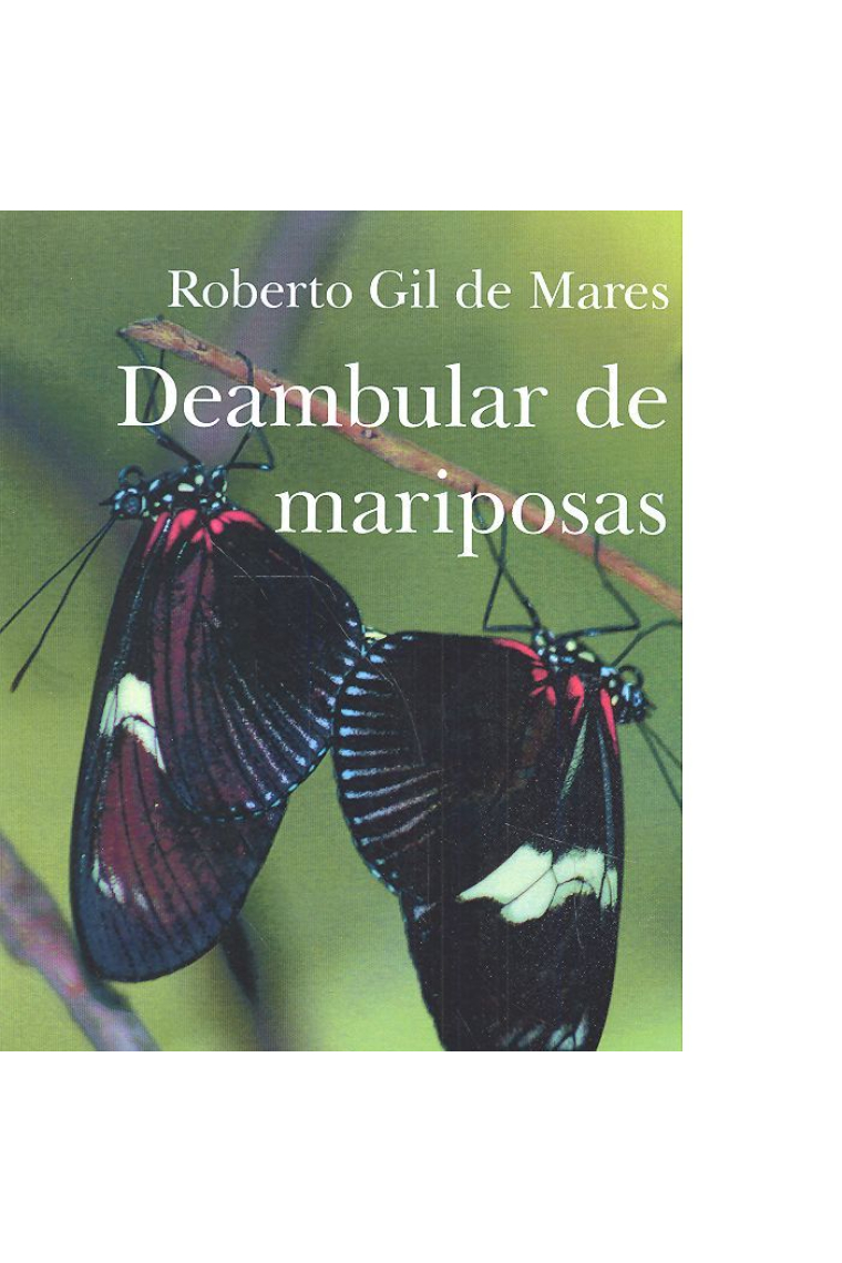 DEAMBULAR DE MARIPOSAS