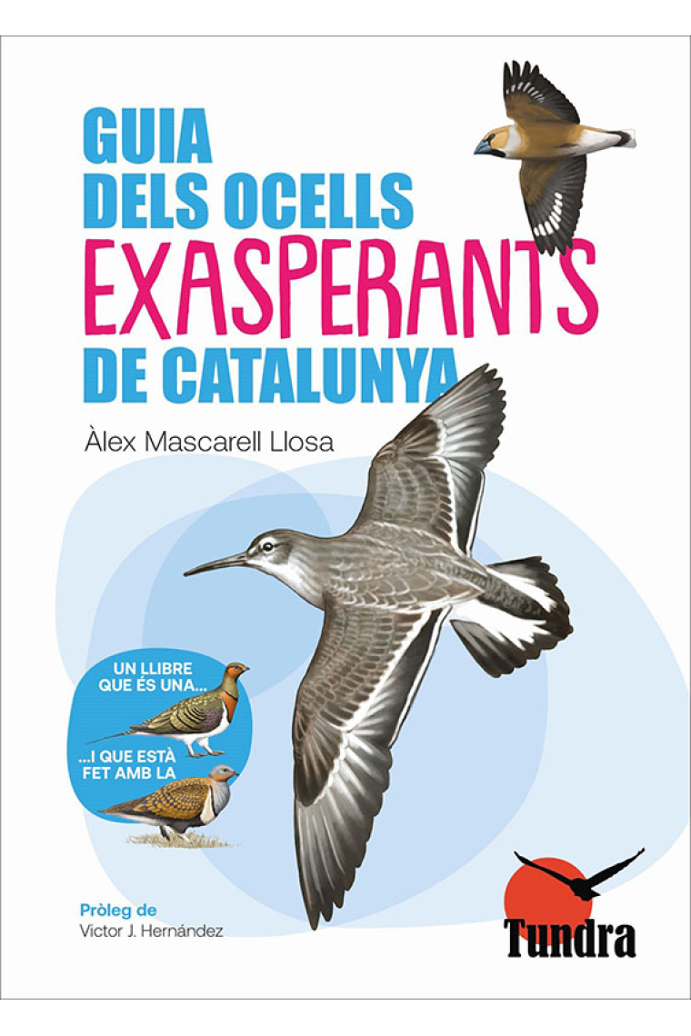 Guia dels ocells exasperants de Catalunya