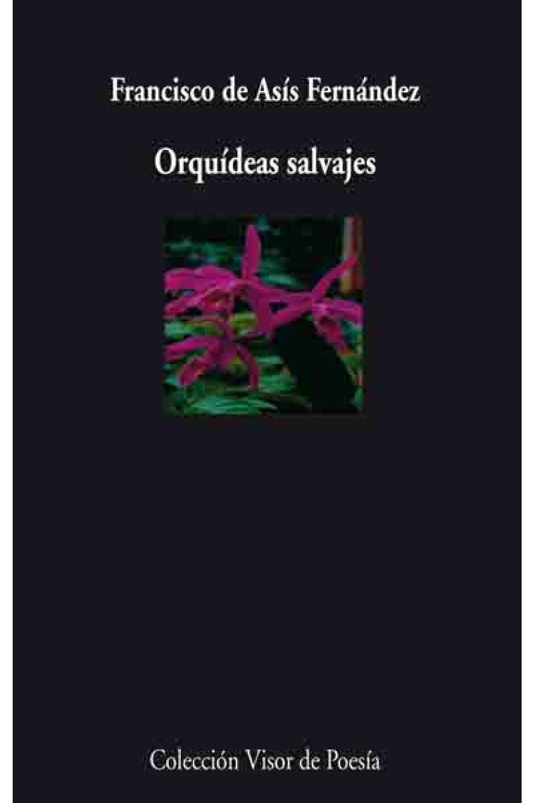 Orquídeas salvajes