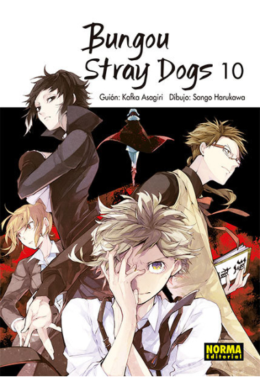 Bungou stray dogs 10