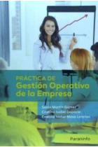 Práctica de gestión operativa de la empresa